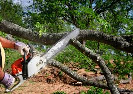 How Our Tree Care Process Works  in  Fort Gibson, OK